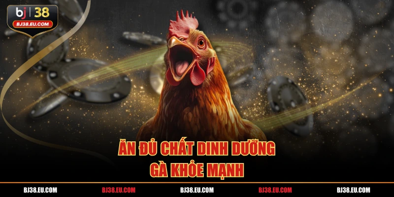 Ăn đủ chất dinh dưỡng, gà khỏe mạnh