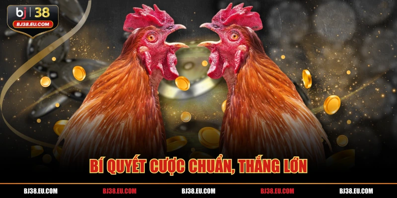 Bí quyết cược chuẩn, thắng lớn