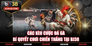 Các Kèo Cược Đá Gà Bí Quyết Chơi Chiến Thắng Tại BJ38