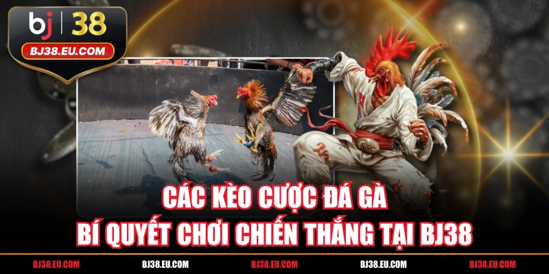 Các Kèo Cược Đá Gà Bí Quyết Chơi Chiến Thắng Tại BJ38