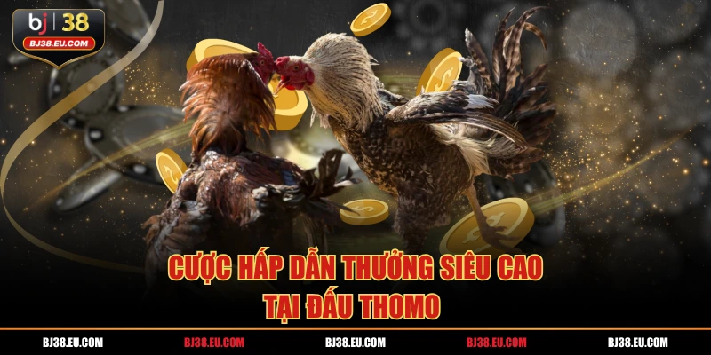 Cược hấp dẫn thưởng siêu cao tại đấu thomo