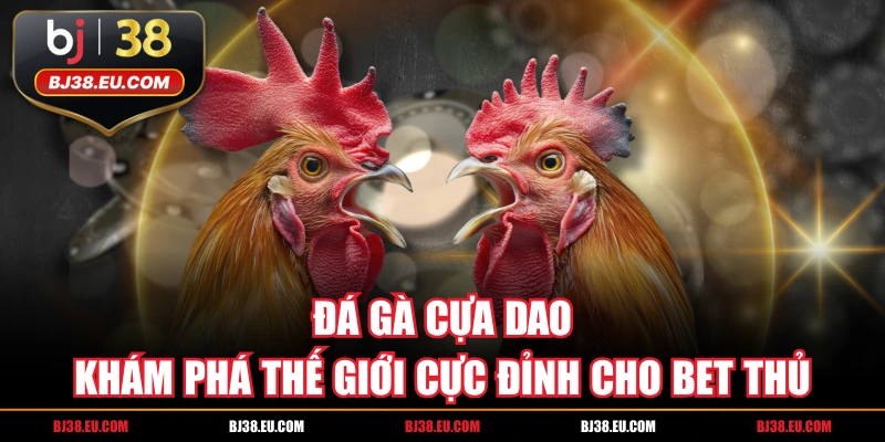 Đá Gà Cựa Dao Khám Phá Thế Giới Cực Đỉnh Cho Bet Thủ