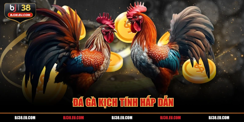  Đá gà kịch tính hấp dẫn