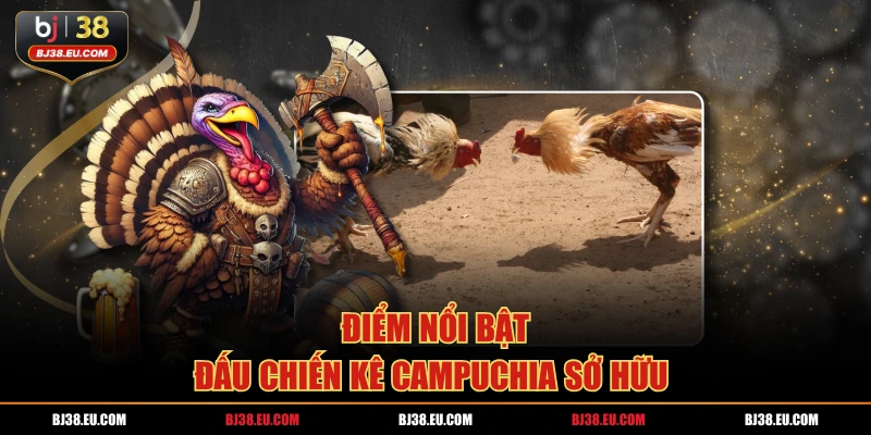 Điểm nổi bật đấu chiến kê campuchia sở hữu