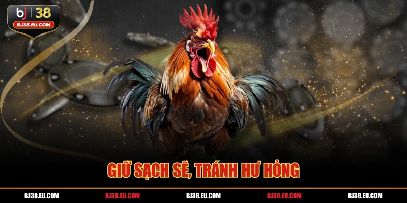 Giữ sạch sẽ, tránh hư hỏng