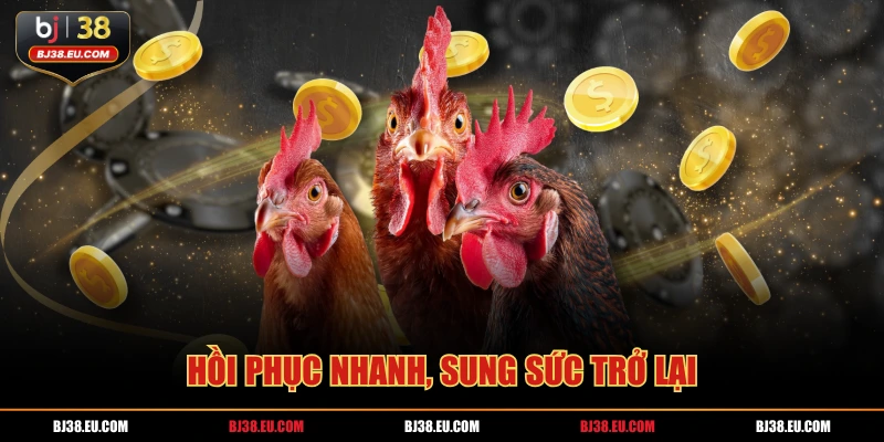 Hồi phục nhanh, sung sức trở lại
