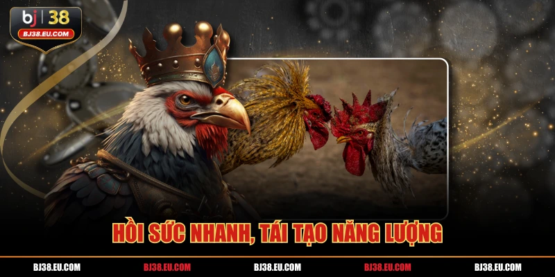 Hồi sức nhanh, tái tạo năng lượng