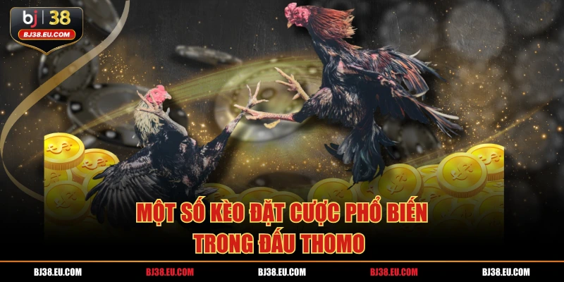 Một số kèo đặt cược phổ biến trong đấu thomo