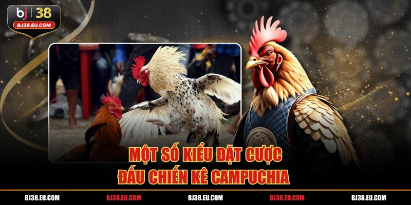 Một số kiểu đặt cược đấu chiến kê campuchia