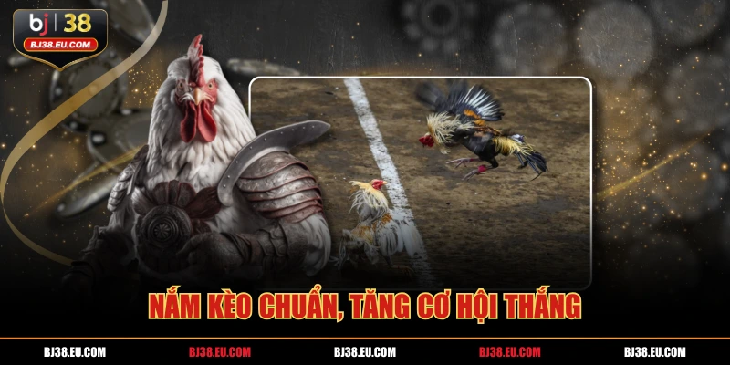 Nắm kèo chuẩn, tăng cơ hội thắng