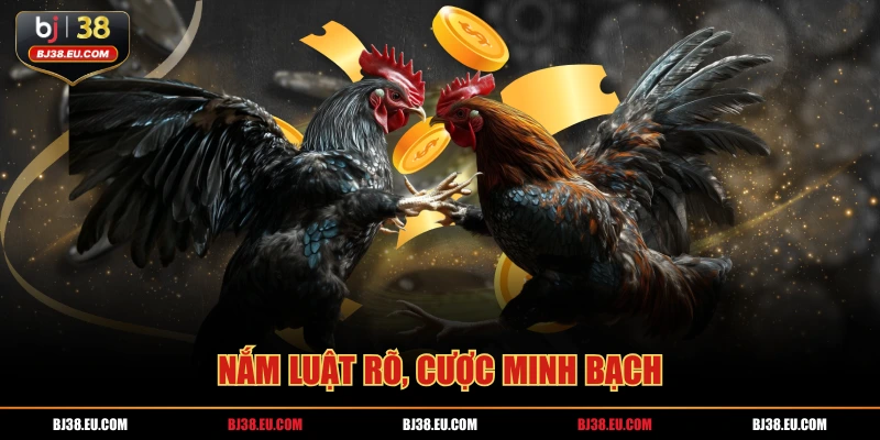 Nắm luật rõ, cược minh bạch