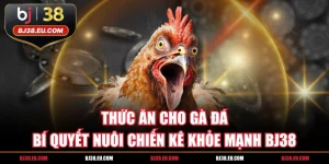 Thức Ăn Cho Gà Đá Bí Quyết Nuôi Chiến Kê Khỏe Mạnh BJ38