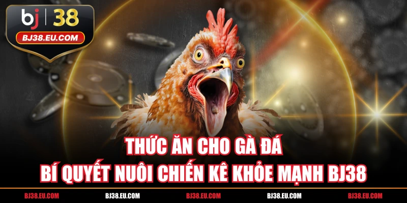 Thức Ăn Cho Gà Đá Bí Quyết Nuôi Chiến Kê Khỏe Mạnh BJ38