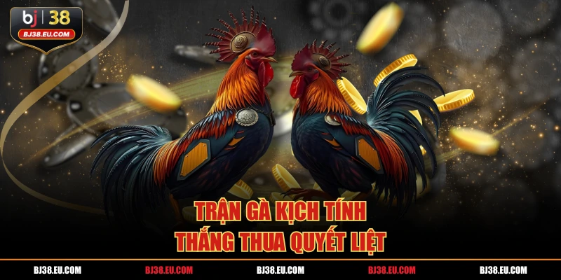 Trận gà kịch tính, thắng thua quyết liệt